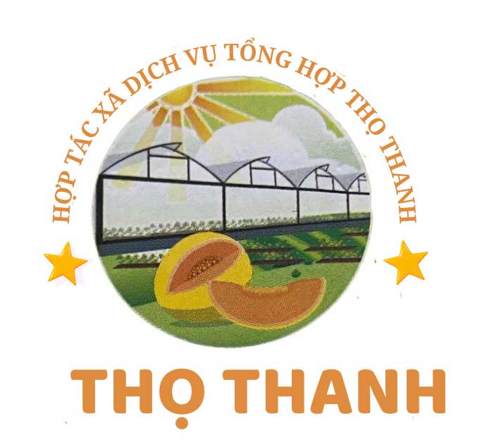 Dưa vàng Thọ Thanh